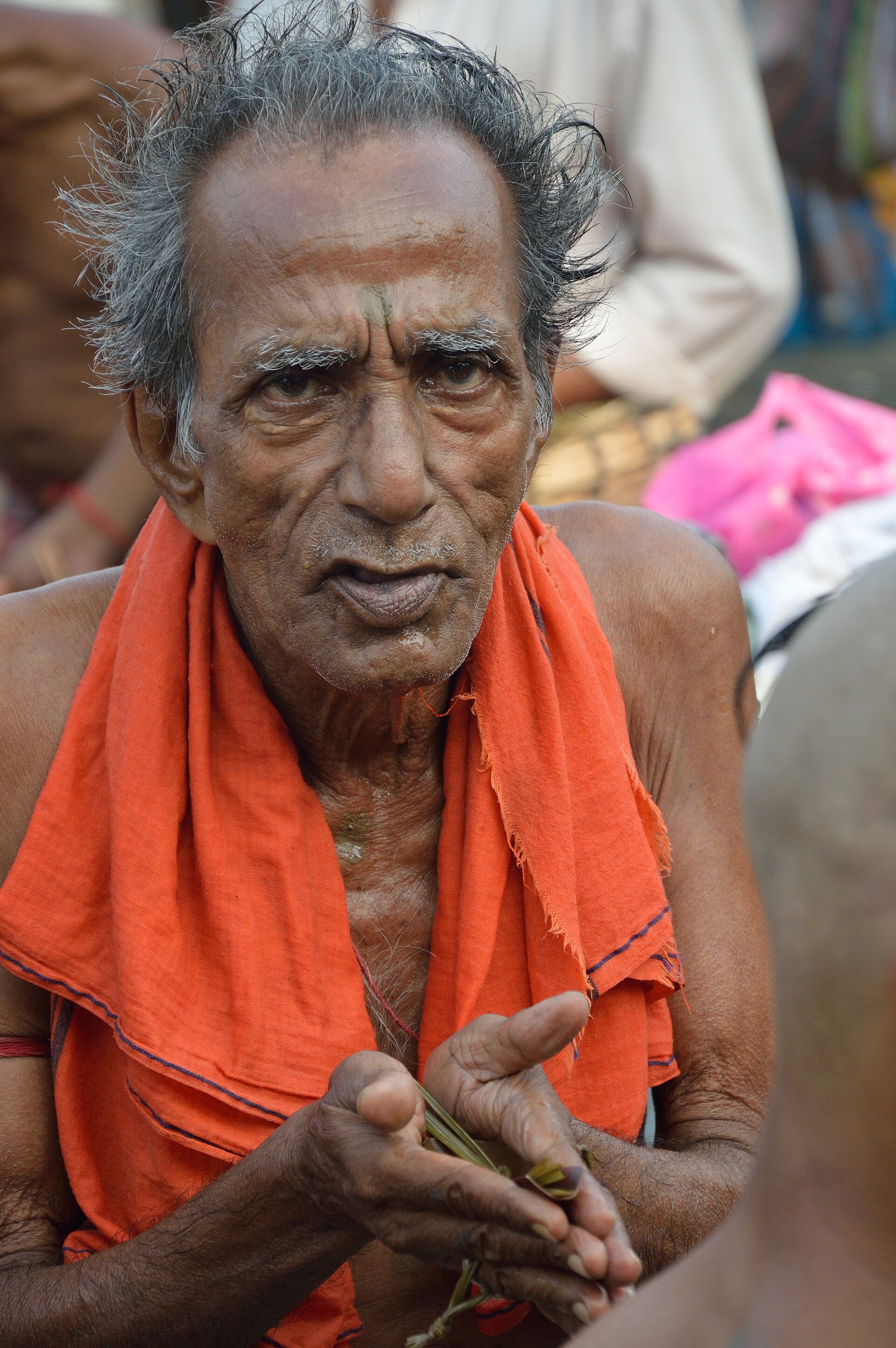 An elderly devotee, hands folded