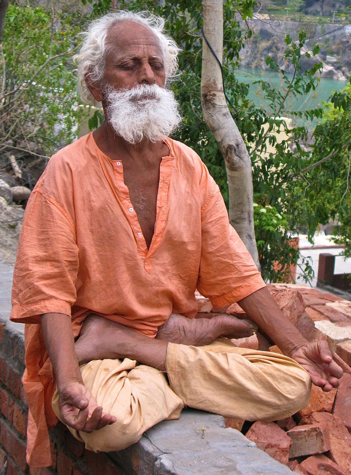 A sannyasi seated in meditation