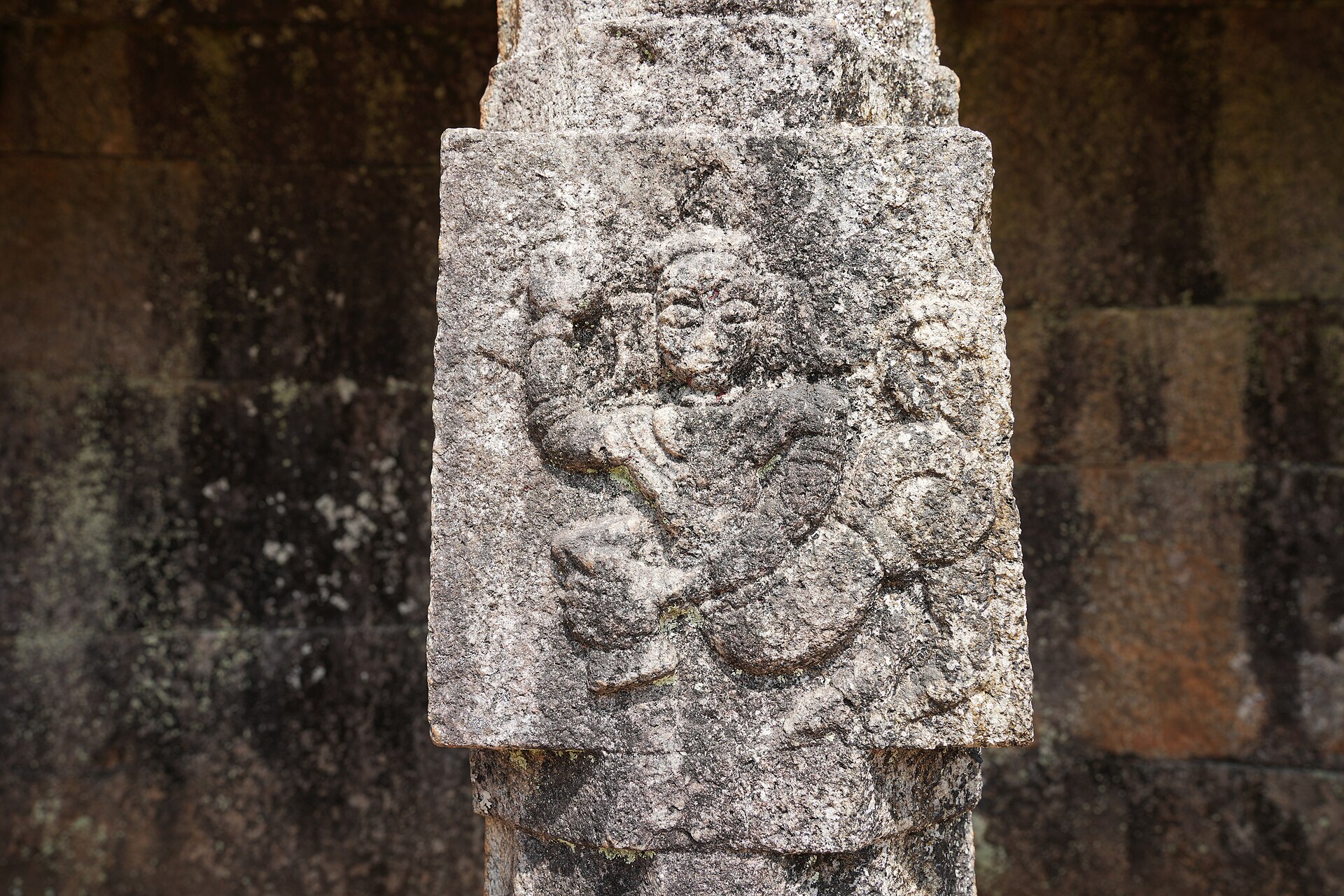 A relief carved into the temple wall